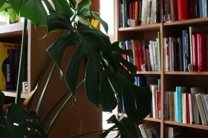 Позајмно одељење